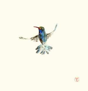 Toinette Lippe painting - Hummingbird 5