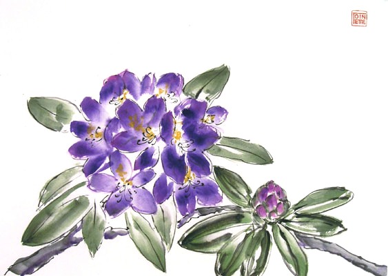 Toinette Lippe painting -
            Rhododendron 2 