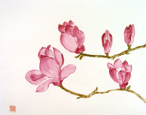 Toinette Lippe painting - Magnolia