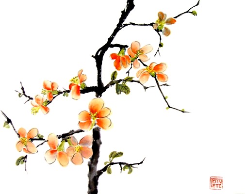Toinette Lippe paintings - Japanese Quince