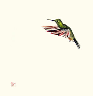 Toinette Lippe painting - Hummingbird 7