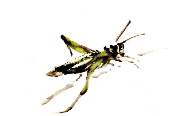 Toinette Lippe painting - Grasshopper