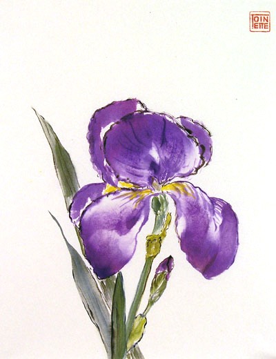 Toinette Lippe Painting - Iris