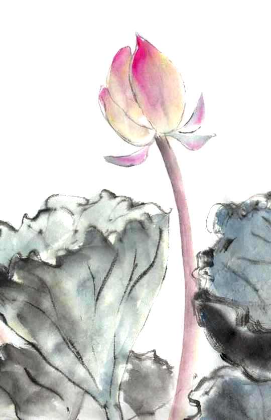 Toinette Lippe Painting - Lotus