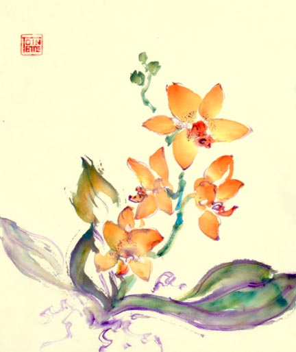 Topinette Lippe painting - Phaleanopsis