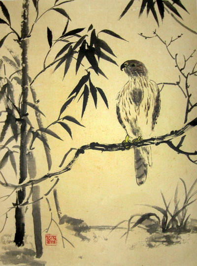 Toinette Lippe painting - Cooper's Hawk